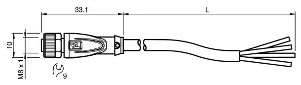 V31-GM-5M-PUR